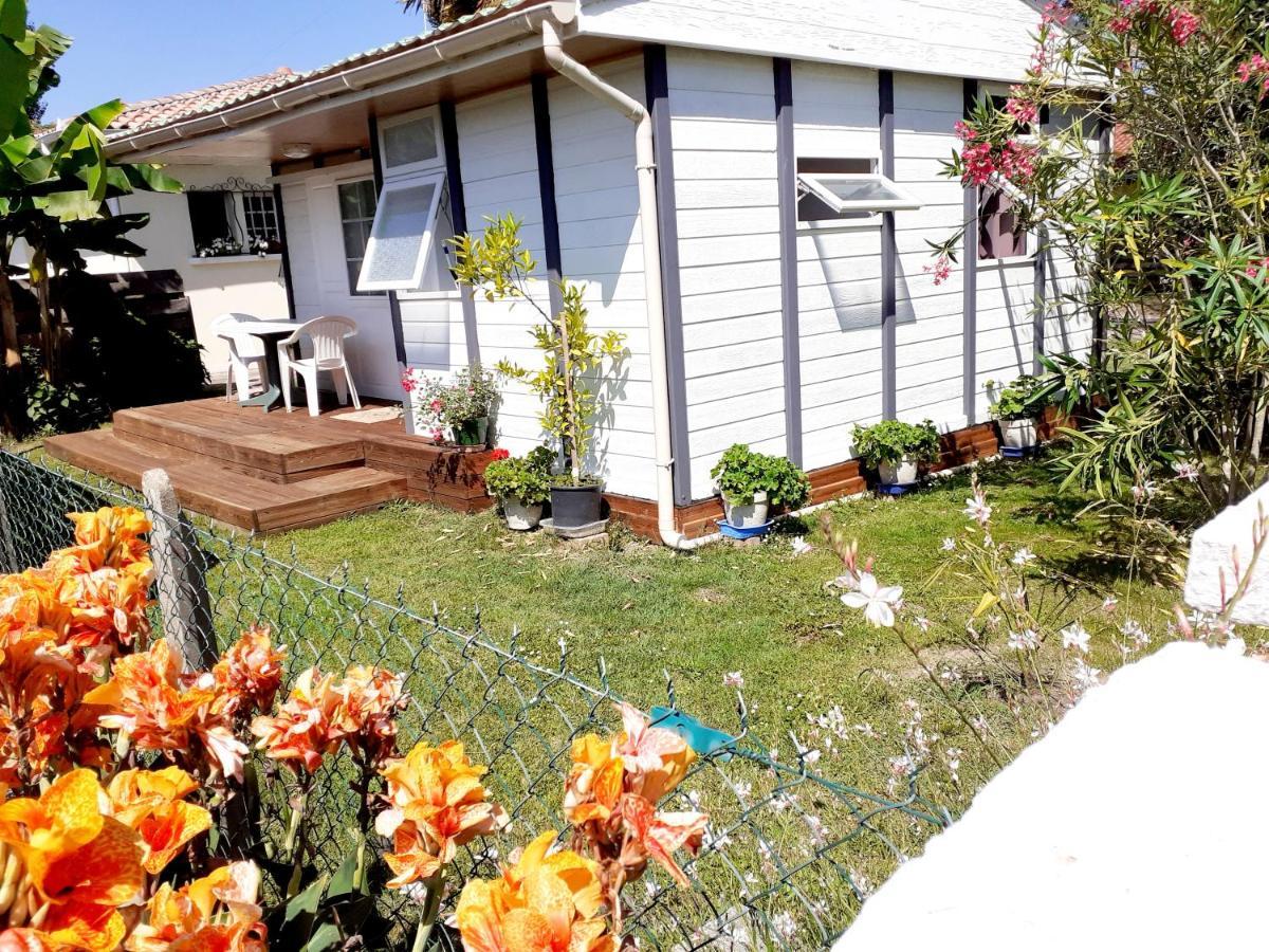 Chalet Narrosse ภายนอก รูปภาพ
